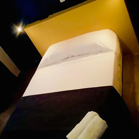 드 브뤼셀 2*