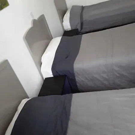 酒店 布鲁塞尔酒店 2*