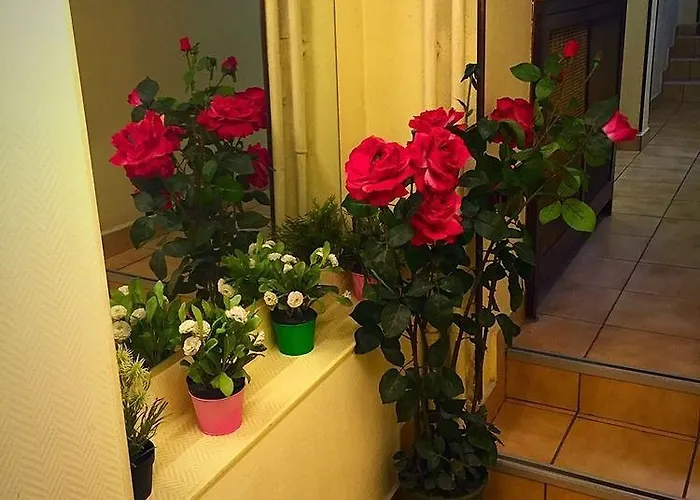 De Bruxelles 2* 파리